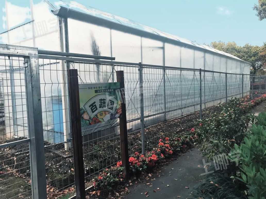 2021上海松江区五厍学校招生简章-上哪学