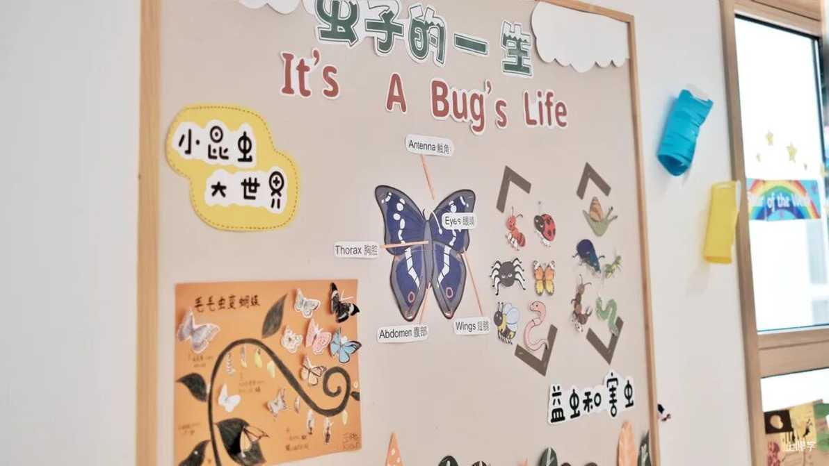 康文云锦相关资料 23