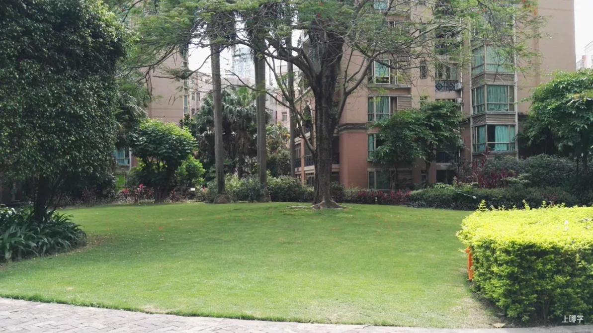 深圳市南山区鸿瑞幼儿园2022年春季招生开始啦!就近免试入园